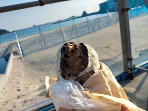 外浦海岸ベーカリー DOUG