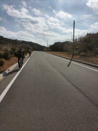 石廊崎の道路