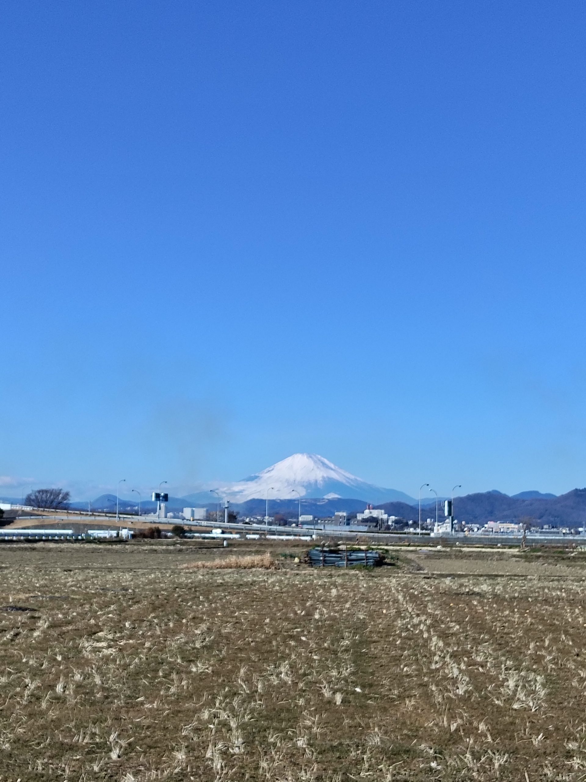 平塚から富士をのぞむ
